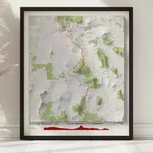 Arizona Monster 300 map